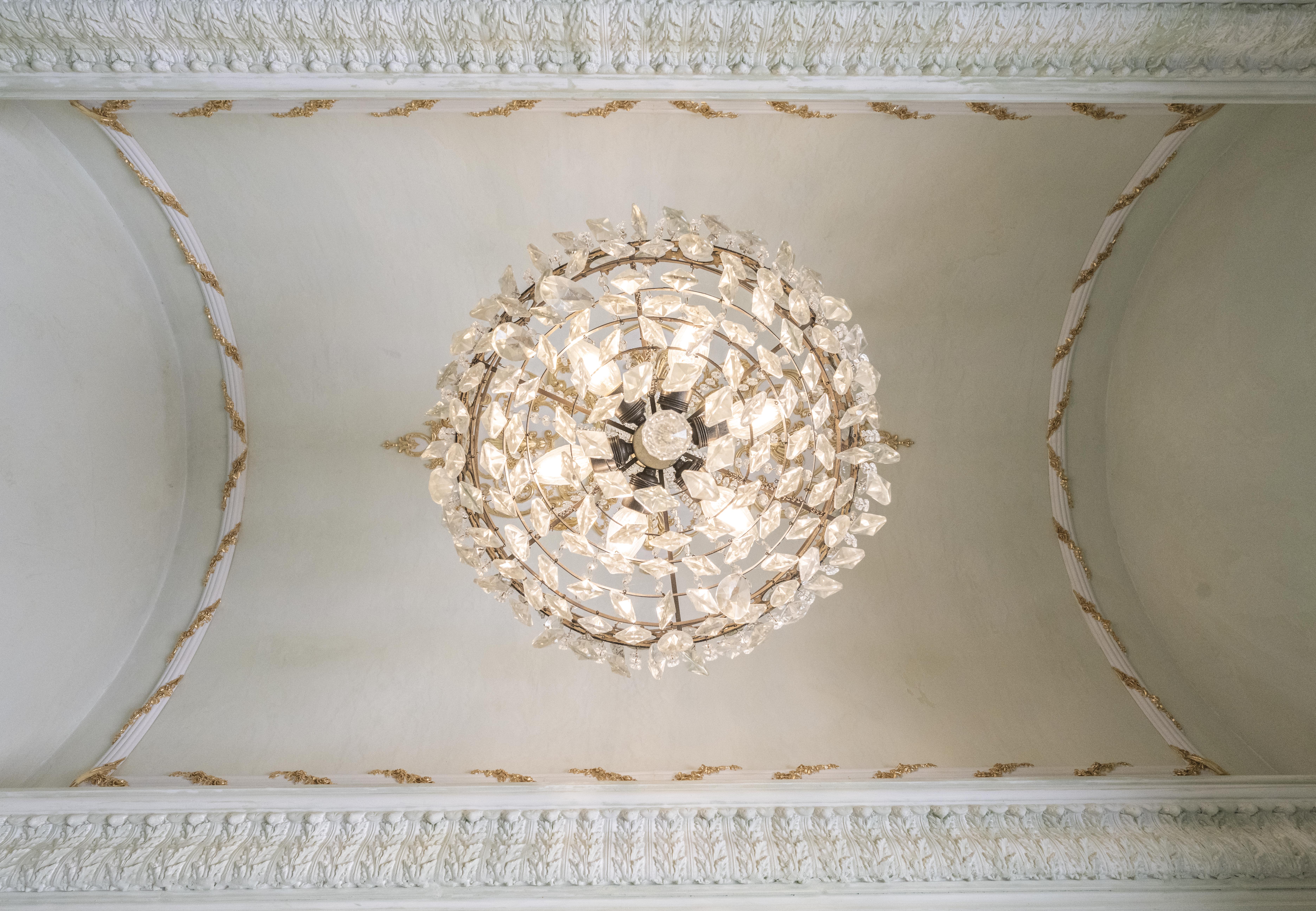 Run cornice meeting a plaster ceiling rose in raking afternoon light, residential parlor